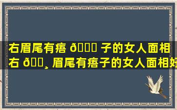 右眉尾有痦 💐 子的女人面相（右 🕸 眉尾有痦子的女人面相好不好）